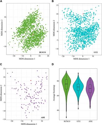 Phylogenomic analysis and molecular identification of true fruit flies